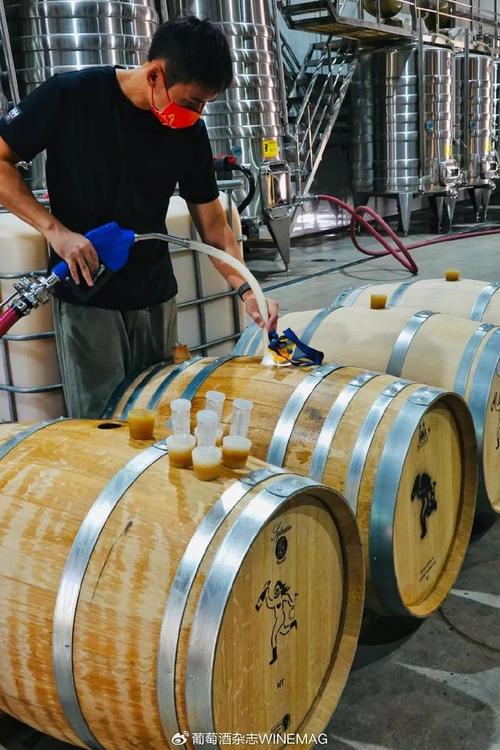 中國葡萄酒新勢力 釀松弛的酒，做最“野”的標