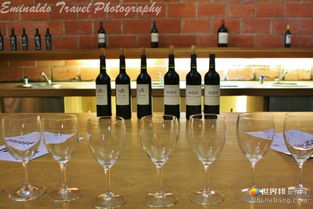 波爾多紅酒之魂 梅多克產區(qū)的葡萄酒銷售與市場魅力