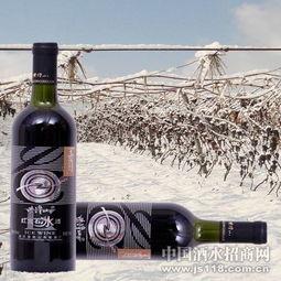 紫隆山紅寶石冰酒 品味時(shí)光凝萃，共創(chuàng)財(cái)富未來——通化紫隆山葡萄酒廠火熱招商
